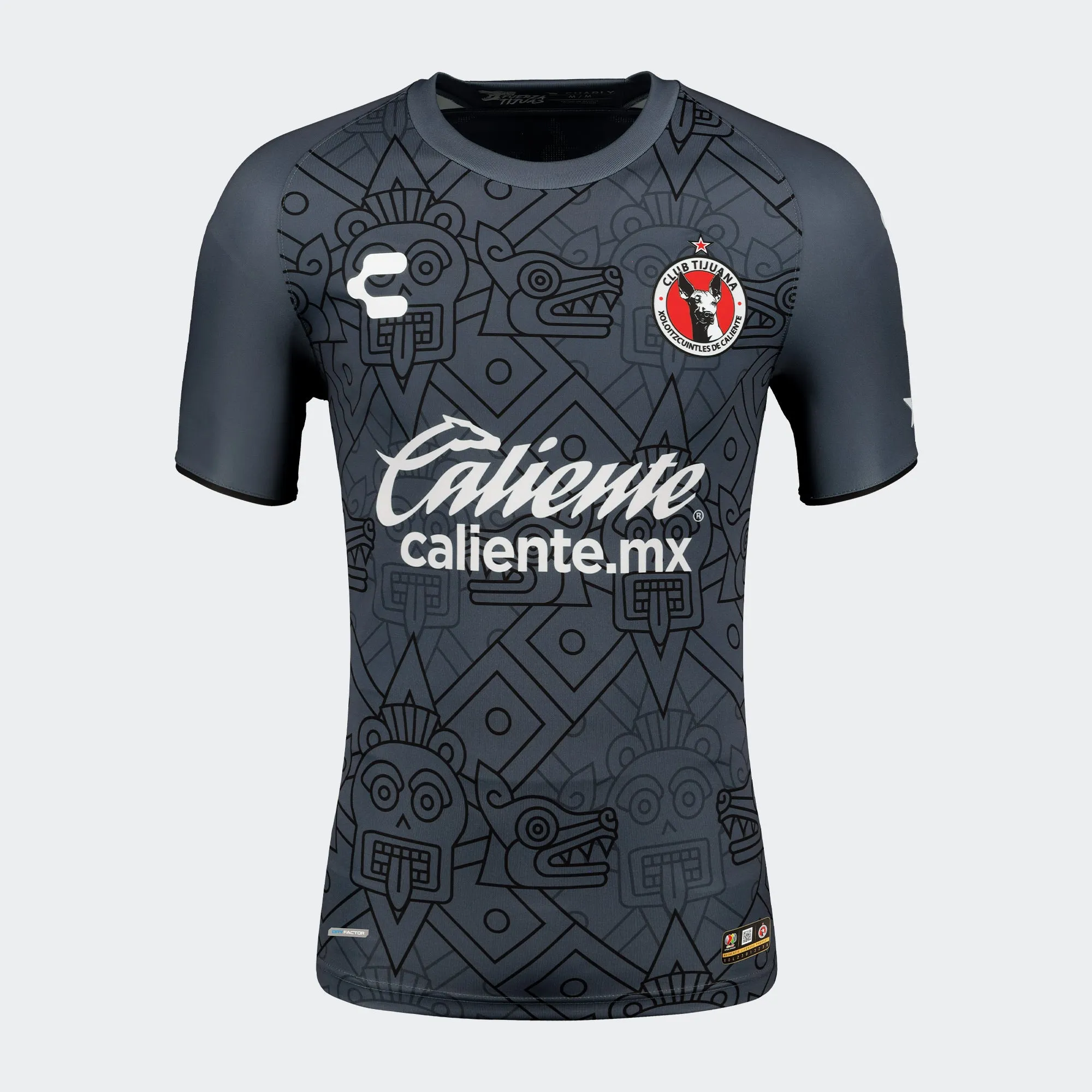 JERSEY CHARLY AP23-CL24 PORTERO OXFORD HOMBRE